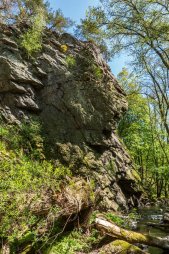 Skalní věž Stěna nad vodou v údolí potoka Jevišovka pod městem Jevišovice
Proběhnutí křížem krážem jarní krajinou přírodního parku Jevišovka spojené s návštěvou Jevišovic a památek v údolí Plenkovického potoka.