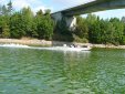ZOBRAZIT fotky proběhlé akce:
2007-08-26 - Dalešická přehrada - Stropešínský most - Kienova houpačka