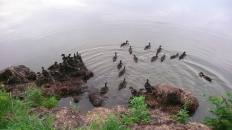 Cykloturistika po jižních Čechách a Novohradských horách