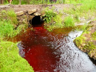 Cykloturistika po jižních Čechách a Novohradských horách