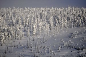 Zimní přírodní víceboj Krkomen 2010