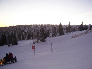 Winter Survival 2011