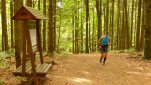 ZOBRAZIT fotky proběhlé akce:
Běh 31,5 km: Na Mařenku
Běh s kámošem na rozhlednu na kopci Mařenka.