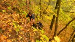 ZOBRAZIT fotky proběhlé akce:
Běh 35 km: Přírodní rezervace Údolí Oslavy a Chvojnice
Společný běh za podzimního počasí údolím řeky Oslavy a Chvojnice.