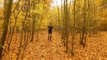 ZOBRAZIT fotky proběhlé akce:
Běh 35 km: Přírodní rezervace Údolí Oslavy a Chvojnice
Společný běh za podzimního počasí údolím řeky Oslavy a Chvojnice.