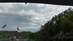 ZOBRAZIT fotky proběhlé akce:
2014-07-05 - Dalešická přehrada - Stropešínský most - Rope Jumping