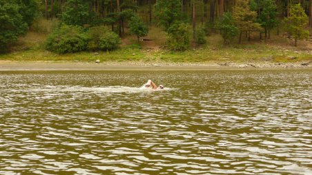 Plavání 15 km: Dalešická přehrada [Nedokončeno]