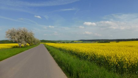 Cyklistika 150 km: K Rakousku