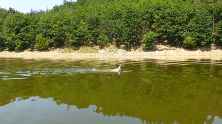 4,1 km
1,15 min 
Hodně se teď mění teplota vody