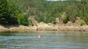 Plavání 16 km: Dalešická přehrada