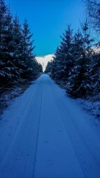 Běh 41 km: Západní Třebíčsko