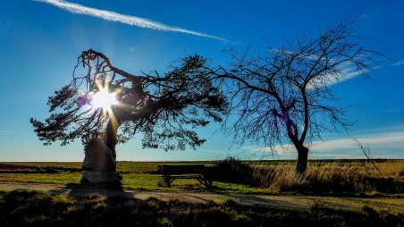 Běh 42 km: Vranov nad Dyjí - Národní park Podyjí