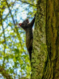 Běh 43 km: Přírodní park Rokytná - Jevišovka