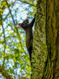 Běh 43 km: Přírodní park Rokytná - Jevišovka