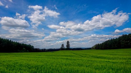 Běh 40 km: Třebíč - Velké Meziříčí