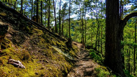 Běh 31 km: Údolí Oslavy