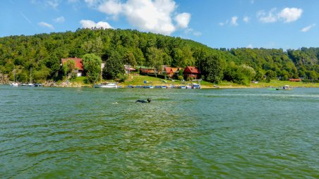 Plavání 25 km: Vranovská přehrada