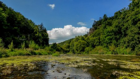 Běh 90 km: Moravský Krumlov - Údolí Jihlavy - Třebíč