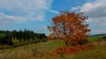 ZOBRAZIT fotky proběhlé akce:
Běh 47 km: Třebíč - Velké Meziříčí
Běh podzimní krajinou do Velkého Meziříčí na Koloběh, kterého jsem se nemohl zúčastnit.