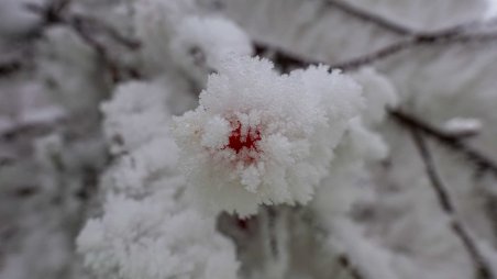 Omrzlý šípek nad obcí Mikulovice