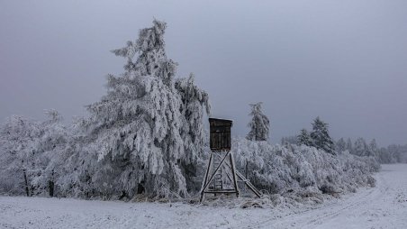 Omrzlý posed na úbočí kopce Hošťanka