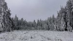 ZOBRAZIT fotky proběhlé akce:
Běh 40 km: Na Mařenku
Štědrodenní běh s taťkou na nejvyšší kopec na Třebíčsku při velké námraze.