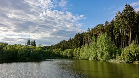 Rybník na potoce Lubí pod obcí Věstoňovice