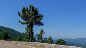 Výhled ze silnice vedoucí z obce Zonza nahoru do horského sedla Bavella (Col de Bavella)