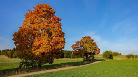 Cesta k obci Lísek v podzimních barvách