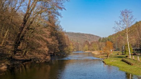 Řeka Jihlava pod zříceninou hradu Templštejn