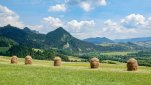 ZOBRAZIT fotky proběhlé akce:
Běhání na Slovensku nejen v Tatrách
Běhání na Slovensku v národních parcích Vysoké Tatry, Nízké Tatry, Slovenský ráj a v Polsku v národním parku Pieniny na jedenáctidenní dovolené.