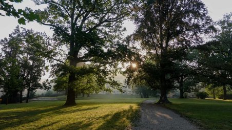 Východ slunce v zámeckém parku Moravský Krumlov