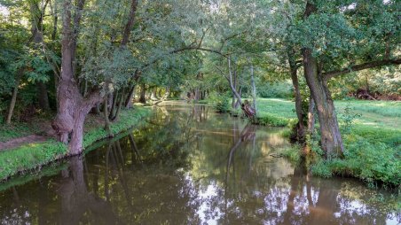 Řeka Rokytná