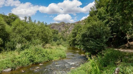 Přírodní rezervace Údolí Oslavy a Chvojnice u Senoradského mlýna