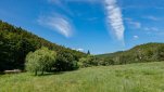 ZOBRAZIT fotky proběhlé akce:
Běh 100 km: Moravský Krumlov - Údolí Jihlavy - Třebíč
Celodenní běh z Moravského Krumlova přes Ivančice údolím řeky Jihlavy kolem Mohelenské a Dalešické přehrady až do Třebíče.