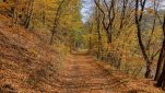 ZOBRAZIT fotky proběhlé akce:
Běh 40 km: Údolí Oslavy
Odpolední běh za krásně teplého podzimního počasí po obou březích řeky Oslavy.