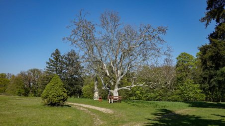 Zámecký park Jevišovice