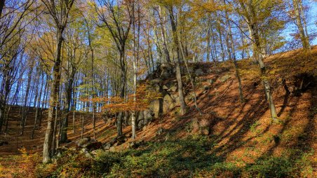 Přírodní park Doubrava u obce Spačice