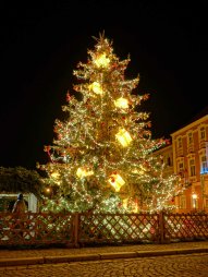 Vánoční strom na Masarykově náměstí ve Znojmě