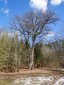 ZOBRAZIT fotky proběhlé akce:
Běh 47 km: Přírodní park Rokytná - Jevišovka
Proběhnutí kolem řeky Rokytná do přírodního parku Jevišovka, návštěva Jevišovic a večerní návrat za mrazivých teplot zpátky do Příštpa.