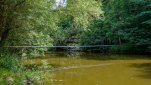 ZOBRAZIT fotky proběhlé akce:
Běh 64 km: Údolí Jihlavy a Brtnice
Celodenní běh proti proudu řeky Jihlavy, poté údolím řeky Brtnice a v noci zpět do Třebíče.