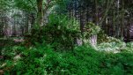 ZOBRAZIT fotky proběhlé akce:
Běh 62 km: Česká Kanada - Západ
Celodenní běh poprvé v západní části České Kanady z Kunžaku do Nové Bystřice u hranic s Rakouskem a okolo Číměře zpět.
