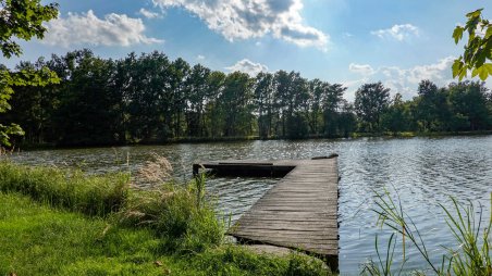 Rajchéřovský rybník v soukromé přírodní rezervaci Rajchéřov - Walden