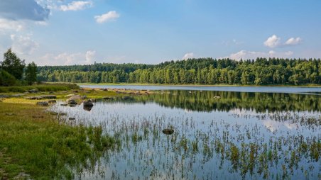 Rybník Kačer v soukromé přírodní rezervaci Rajchéřov - Walden