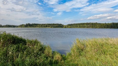 Matějovský rybník