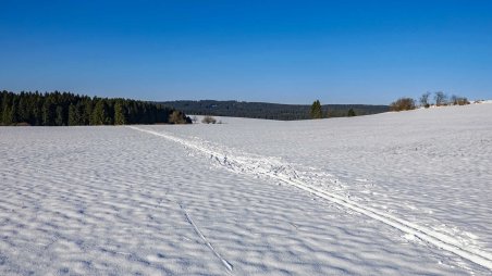 Sněhová plocha nad obcí Fryšava