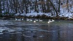 ZOBRAZIT fotky proběhlé akce:
Běh 52 km: Zasněžený národní park Podyjí
Celodenní běh zasněženým národním parkem Podyjí těsně před oblevou z Čížova po české straně až do obce Hnanice a návrat už po tmě rakouskou stranou přes Hardegg.