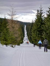 Promenádní cesta