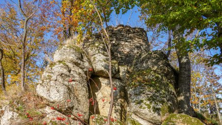 Zřícenina skalního hradu Štarkov (Skály, Stařechovice)