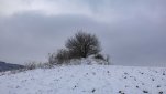 ZOBRAZIT fotky proběhlé akce:
Běh 46 km: Na Mařenku
První běh ve sněhu už v polovině listopadu na nejvyšší kopec na Třebíčsku, kde stojí rozhledna Mařenka.